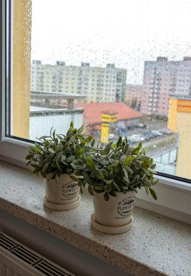 Top Floor Apartment Gorzow Wielkopolski Bagian luar foto